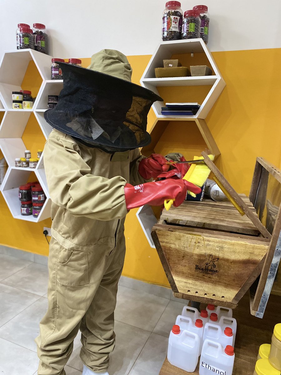 WorldofbeesUg's tweet image. "Elevate your beekeeping game with World of Bees! From smokers to honey presses, suits, beehives, and hive tools – we've got everything you need for a thriving hive. 🐝🛠️ #BeekeepingEssentials #WorldOfBees"