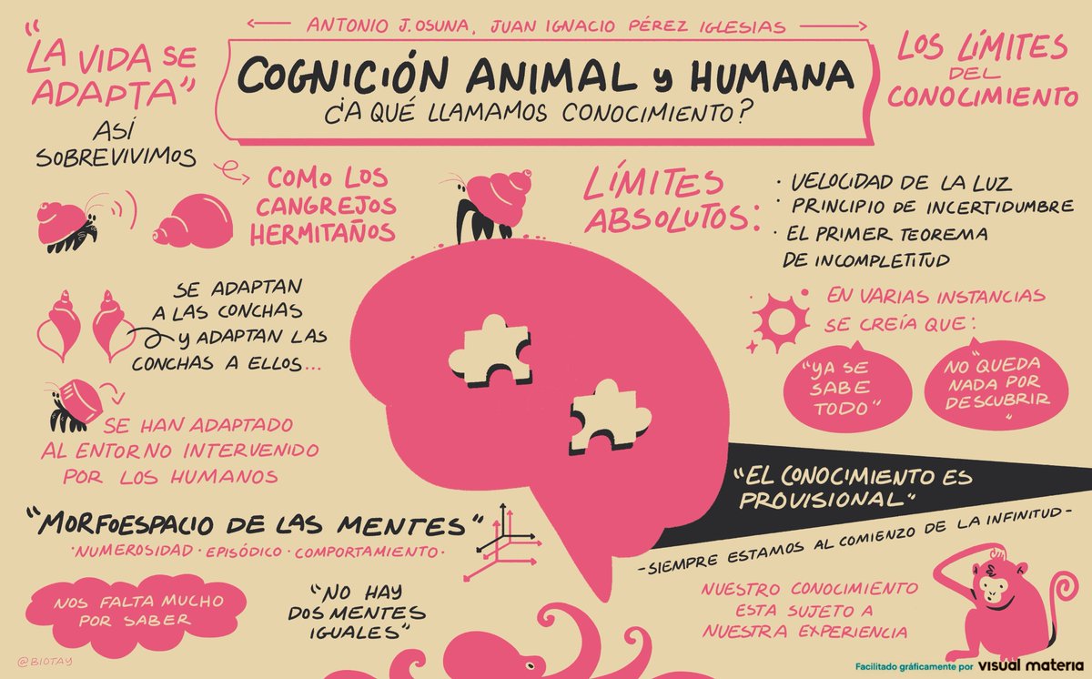 Hace unos días estuvimos ilustrando la charla “Cognición animal y humana: ¿a qué llamamos conocimiento?” Dada por <a href="/BioTay/">Tay</a> y <a href="/Uhandrea/">Juan I. Pérez Iglesias</a>

Una charla genial organizada por <a href="/donostiakultura/">Donostia Kultura</a> vinculada a la exposición Cerebro(s) en <a href="/santelmomuseoa/">San Telmo Museoa</a>

¡Esperamos que os guste!