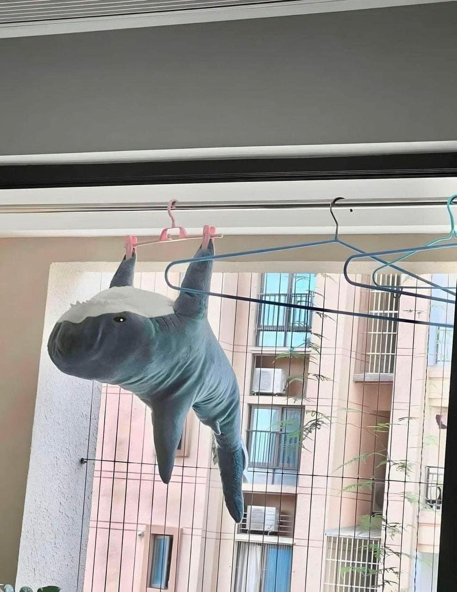 Ngọc Ngọc tweet media