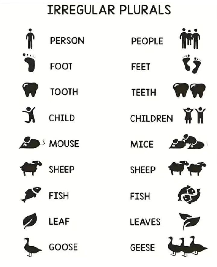 English classes tweet media
