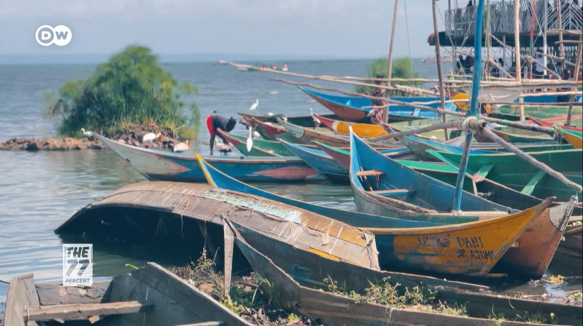 DanielPlafker's tweet image. In Kenya's lakeside hub of #Kisumu, fisheries and shipping are fueling growth while straining the environment.
We looked at how local campaigners are combining music and advocacy in defense of the lake and city they love.
Shot for DW with S. Adeleke.
dw.com/en/my-city-kis…