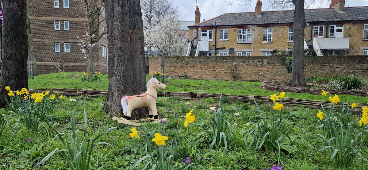 It's lovely to see, the planting in the Baroness Road Dell has started to encourage a rich diversity of wildlife. Well done Community gardeners 👏😂