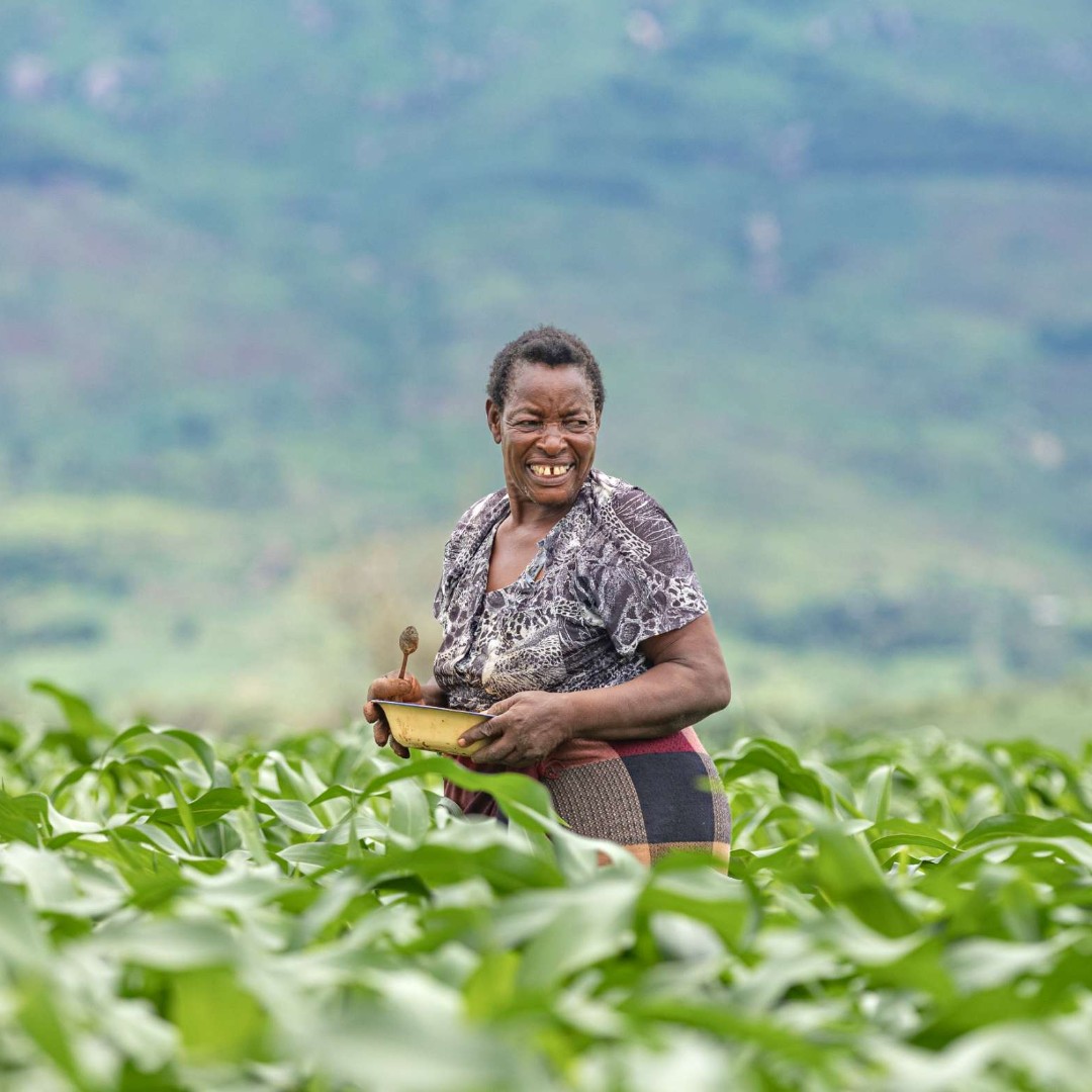 Small-scale farmers, rural women, young agripreneurs: all rural people make rural areas places of change, innovation and opportunities!

When we invest in them, we invest in development and growth.

🔃 RT  if you agree!