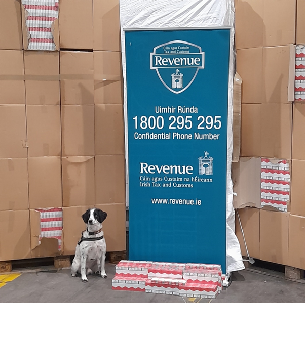 RevenueIE's tweet photo. Revenue seize 13.3 million cigarettes at Dublin Port https://t.co/jxdRjn3PfK https://t.co/2gnLTOF3Pt