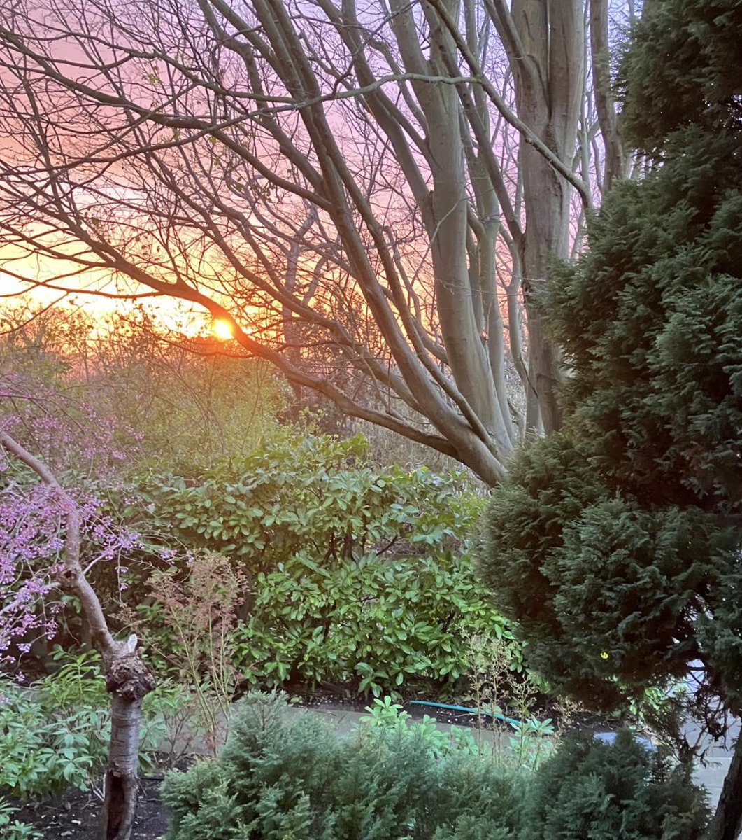 As long as I gaze on #Sydenham Hill sunset….  #Kinks