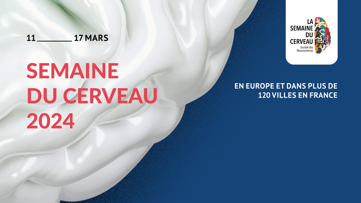 Du 11 au 17 mars 2024 se tient la @Semaine_Cerveau 🧠 Conférences, quiz, visites de labos... Certains événements de la programmation nationale ont lieu à Lille 👇 semaineducerveau.fr/programme-mani…