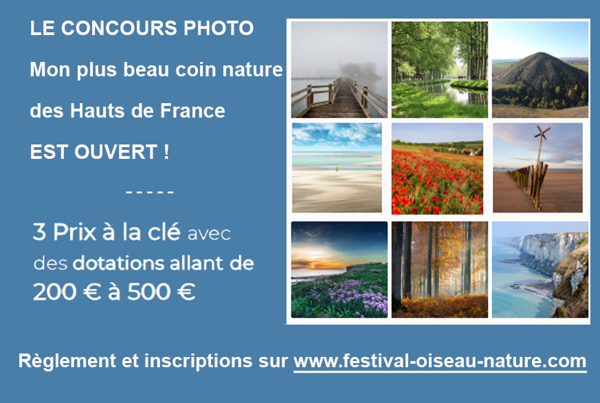 #JeudiPhoto
Participez au #ConcoursPhoto "Mon plus beau coin nature des <a href="/hautsdefrance/">Région Hauts-de-France</a>" en envoyant vos plus belles photos des #HautsDeFrance sur notre site avant le 18 mars ! 
Les plus belles seront exposées <a href="/cayeuxsurmer_of/">Cayeux-sur-Mer</a> pendant le #FestivalOiseau.

festival-oiseau-nature.com/concours/conco…