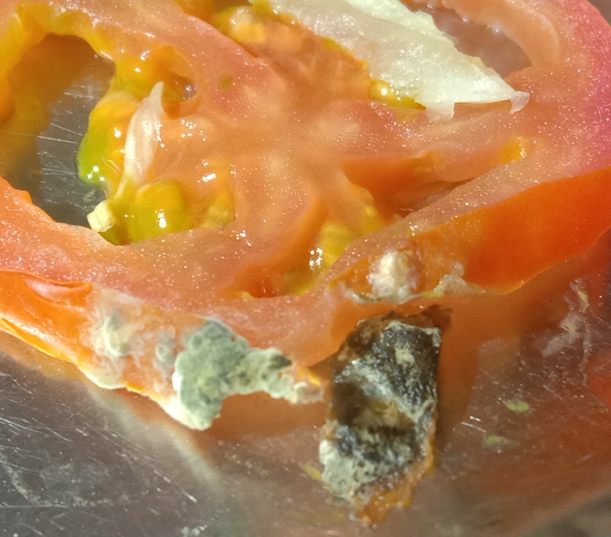 Elephant_ITR's tweet photo. @HungryJacksAU found this on my daughter's whopper last night. Luckily she wanted the tomato removed or she would have eaten this. Absolutely disgusting. https://t.co/WI1HXfaUWA