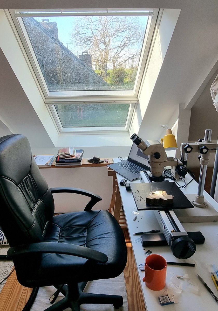 subfossilguy's tweet photo. Lintab with a view... 🥰 🌲💍
#subfossil #wood #treerings https://t.co/BankxqswYc