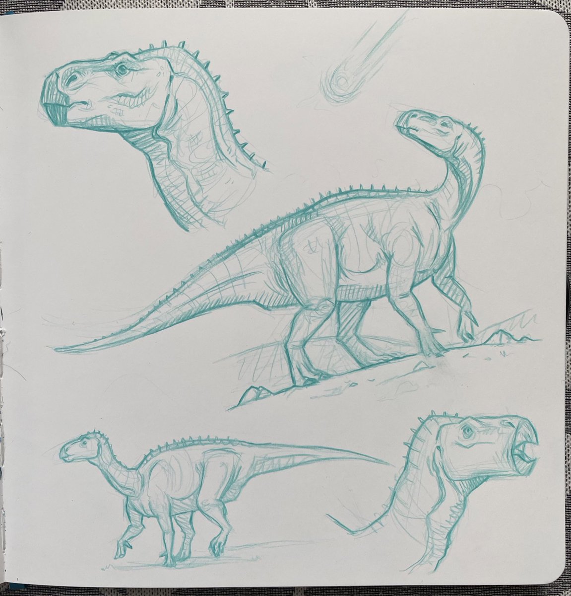 sabiillustrates's tweet photo. @WryCritic I’m still practicing and trying to improve 😊 https://t.co/d55Rbn8JyK