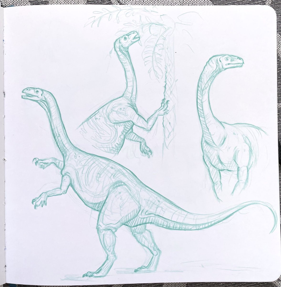 sabiillustrates's tweet photo. @WryCritic I’m still practicing and trying to improve 😊 https://t.co/d55Rbn8JyK