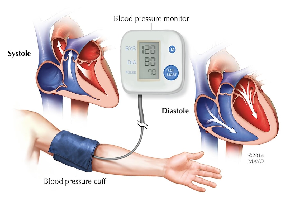 amerix's tweet photo. When you go for tests in a hospital, don't let the doctor make a decision based on the first test results.

Do follow-up tests in different labs at varied times.

For example,

- BLOOD PRESSURE: Repeat after, 3 hours, then 6 hours, then 12 hours and then 24 hours.

- BLOOD SUGAR: Repeat after 12 hours, then the next day at 9 am during fasting, and then at 6 pm after OMAD.

- UREA & ELECTROLYTES: Repeat after 24 hours of Fasting, then 48 hours, then 72 hours.

- LIPID PROFILE: Repeat after 48 hours, and then 72 hours.

This is because your body is not a static machine. The biochemical processes in your body fluctuate based on:

- Time

- Fed or Fasting state

- Hydration level

- Physical activity

- Sleep 

- Environmental stress

Don't allow a hospital to make a quick diagnosis based on the first test results, because you will be condemned to unnecessary medication.

Most of the time, you don't need those drugs, just modify your lifestyle.

Refuse to be a prisoner of hospitals.

#BetterTogether