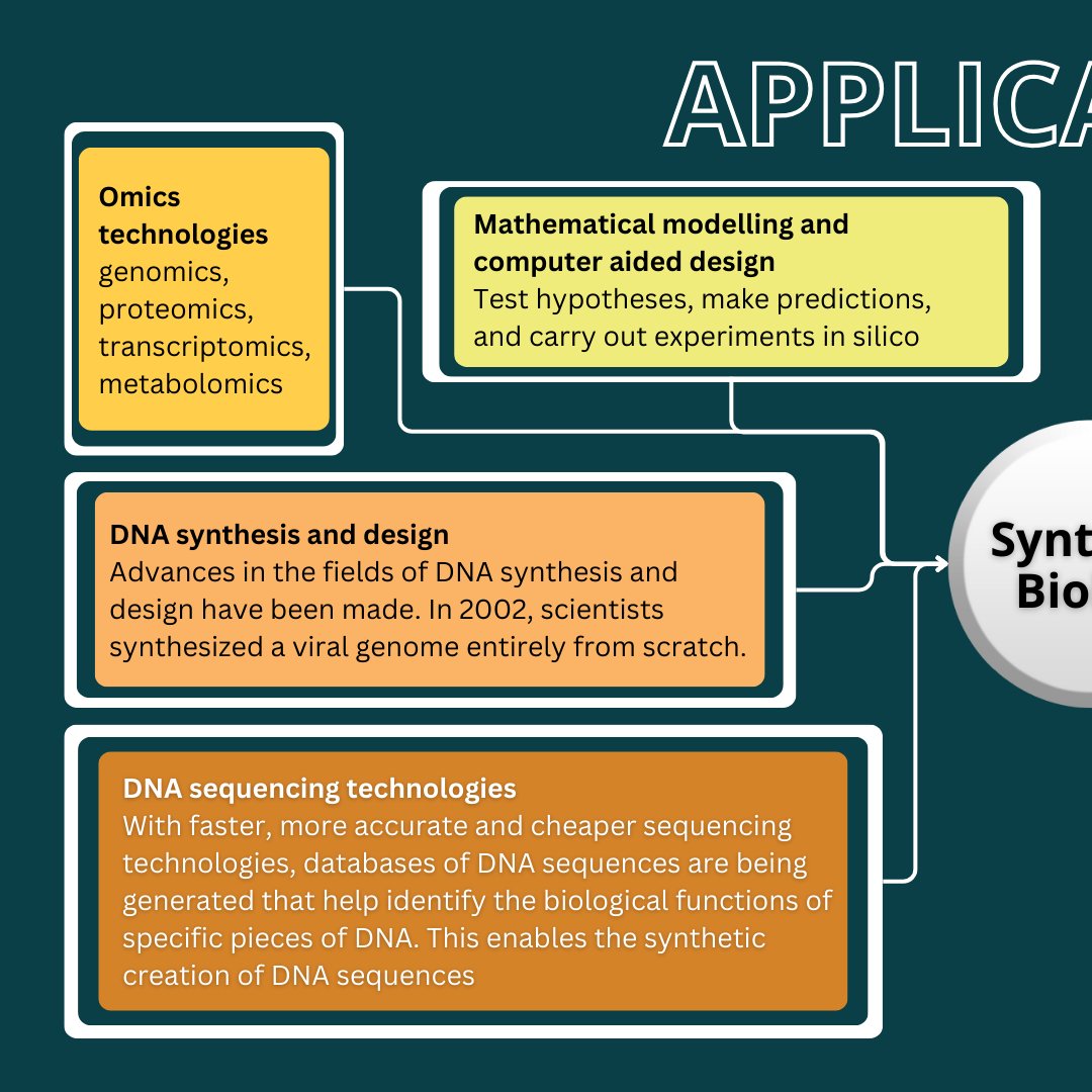 Biologics_W's tweet photo. Did you know- the global synthetic biology market value is estimated to exceed $14 billion by 2026?

Let's look into what it is and its applications!
@RatneshJainICT 

#biology #DNAsequencing #genomeediting #AI #testing #syntheticbiology #BiosimilarWorkshop #BiologicsWorkshop2025 https://t.co/C67LGbC10l