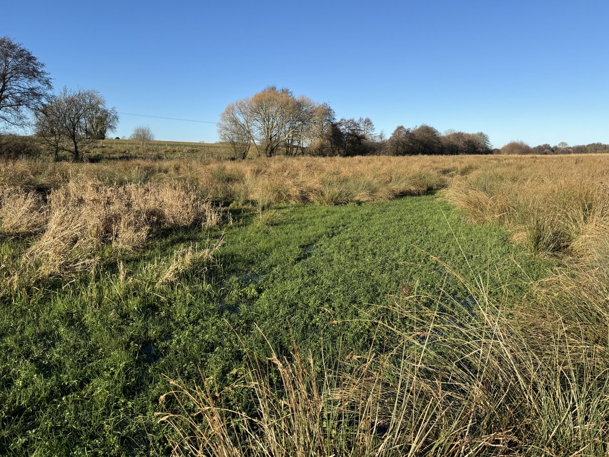 The_WMA's tweet photo. #NorfolkRiversIDB Operations Team recently completed a GPS survey using Trimble for a future watercourse restoration project. Our aim? To revive the old channel depicted on Faden's Map of Norfolk, creating habitats & enhancing ecological benefits π
#SlowTheFlow #TrimbleGPS https://t.co/iairsQPGHF