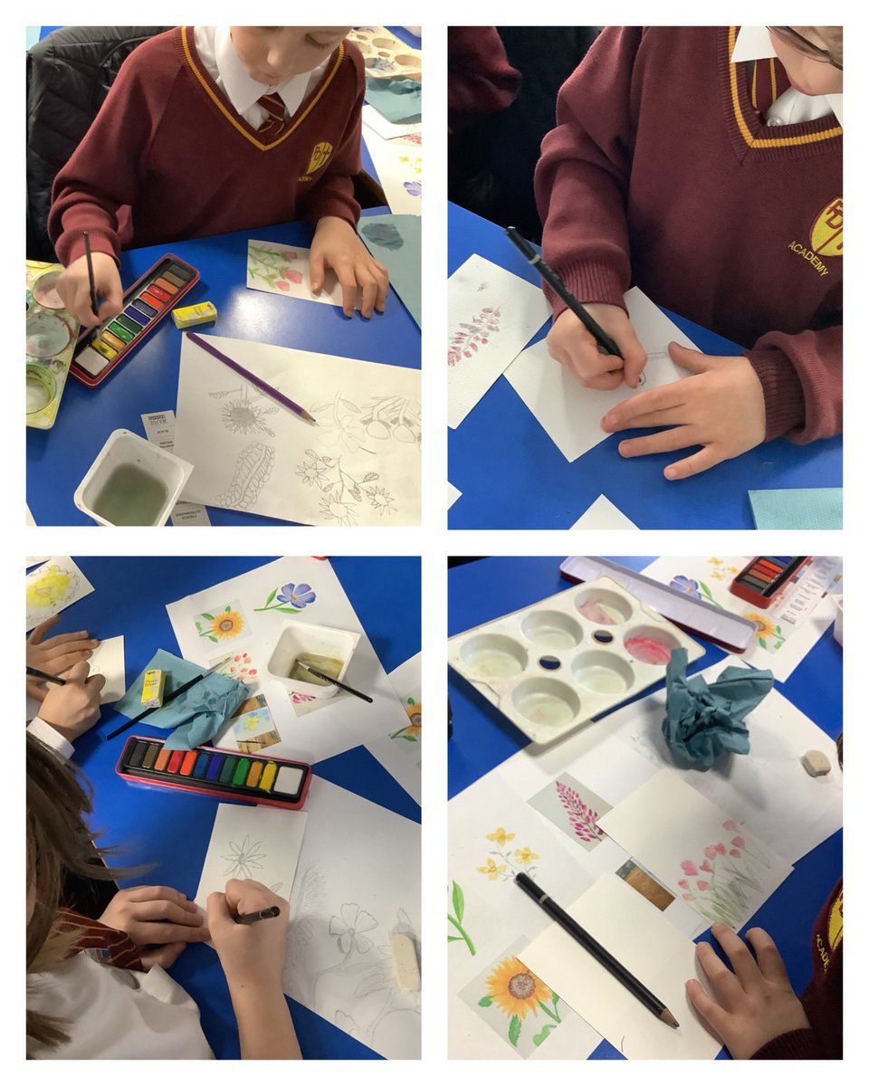 Stunning observational drawing this afternoon. We really thought about how to use our sketching pencils carefully, to take time with our work and then use watercolours to make our drawings come alive #pdaart