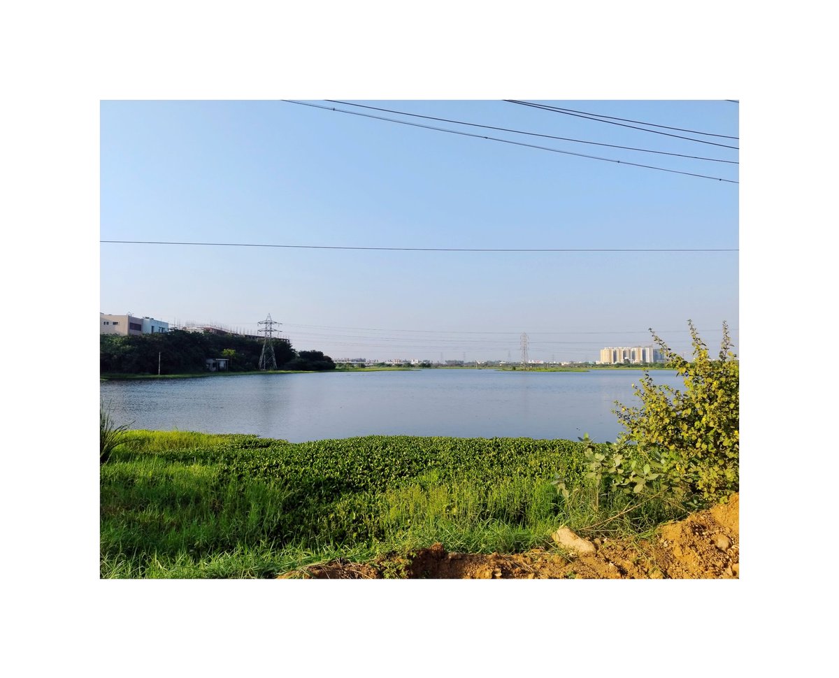 வரும் வரையில் வரவுகள் எல்லாம் தேடல்களே 
#pond #pondphotography #pondphoto #evpcinemas
#bangalorehighway #thiruvallur #mobilephotography #green #lake #water #waterphotography #chembarambakkam #chembarambakkamlake 
#bikekeyphotography #bikephotography 
#vivov29e 
#Captionone