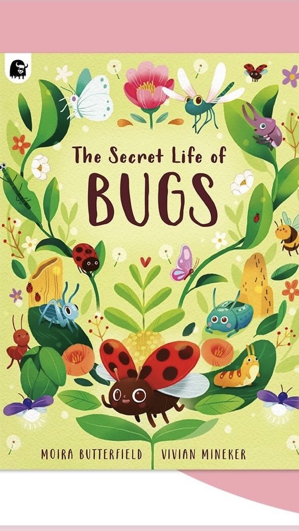 Want to get kids interested in lots of lovely bugs? Buy today's new book for your 5 to 8 year-old friends! The Secret Life of Bugs is out and about, along with the spring ladybirds @vivianmineker @QuartoKids @AnneClarkLit #kidsbooks #booklovers #kidsfactbook