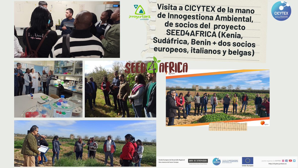 Ayer de la mano de los amigos de @InnogestionaAmb recibimos en CICYTEX a socios del Proyecto SEED4AFRICA🌍 ✅Venidos de Kenia, Sudáfrica, Benin, Italia y Bélgica, han podido conocer parte de la I+D q hacemos👨‍🔬 🤗Un placer recibirles y si quieres saber➕ 👉seed4africa.eu/es/