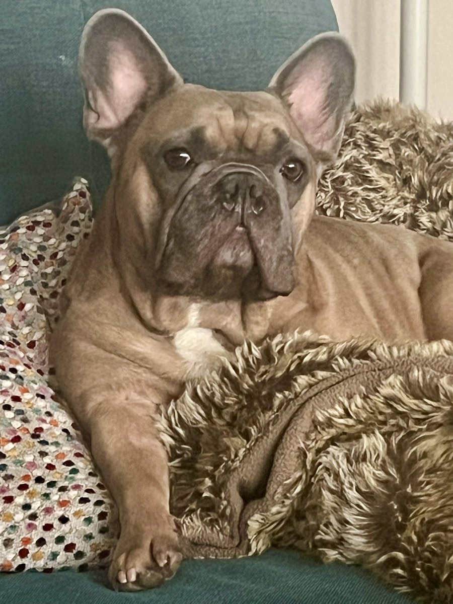 Romy Rawlings tweet media