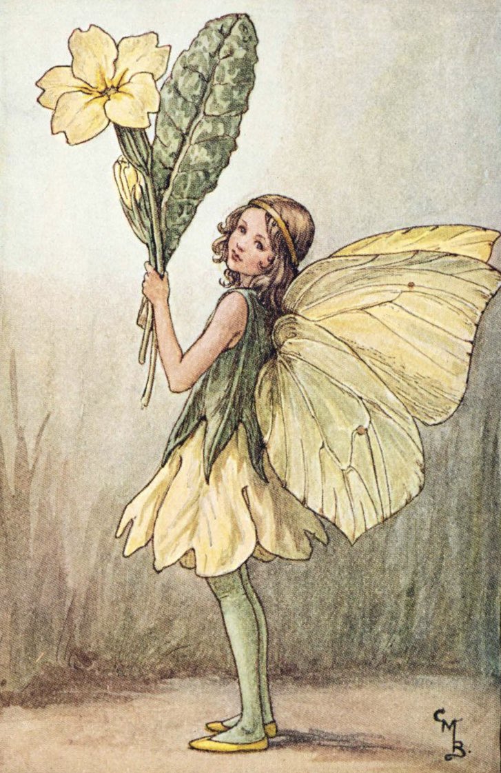 First love..
The Book of the Flower Fairies 1927 #CicelyMaryBarker  #WorldBookDay