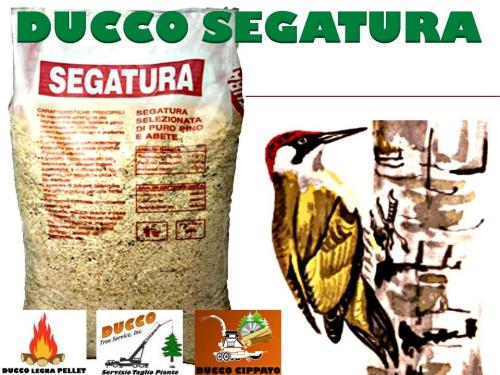 reteimprese's tweet image. #Rivoli #Legna #Ardere vendita fornitura di segatura di legno scelta e vagliate in sacchi per asciugare  e assorbire pavimenti perdite oppure per lettiera ...  legna.reteimprese.org/pro_A59856B539…