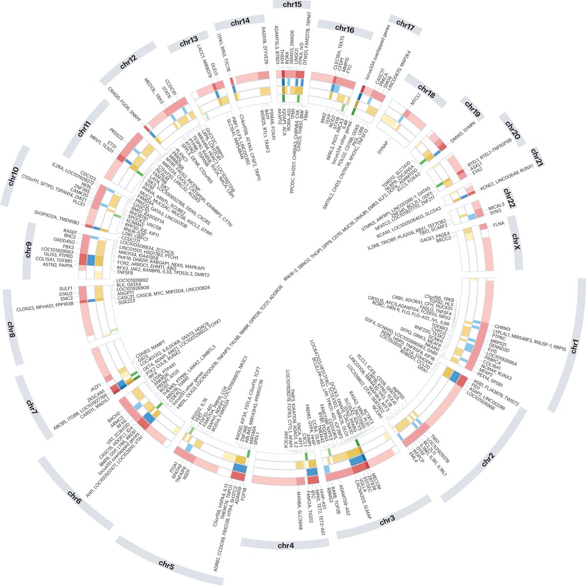 NatureRevGenet's tweet photo. Genetics of chronic respiratory disease https://t.co/SnusjuAlIG #Review by
Ian Sayers, @CatherineJohn44, @JingChen1114 &amp; Ian P. Hall @UoN_BDI @NottmBRC @NottmBRCLung @UniofNottingham @LeicResearch @Leic_hospital @uniofleicester https://t.co/7TSKUbauJ0
