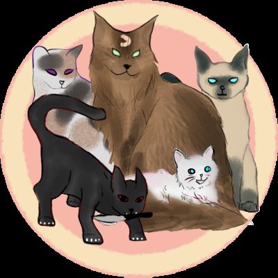 Five Kats tweet media