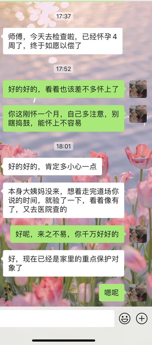 马里奥·dom tweet media