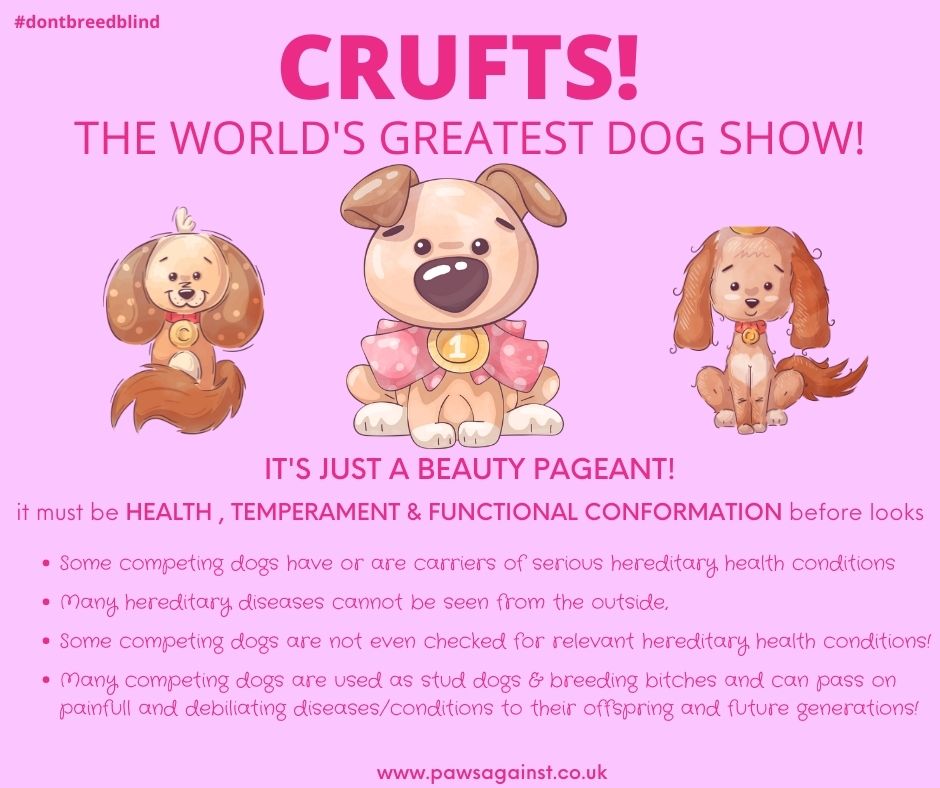 The KC testing some Brachy breeds for entry to Crufts 2025, some say, is because it's visual in the ring. But regards Elbow &amp; Hip Dysplasia  which sometimes can't be seen  visually there apparently is no need for health testing to show 🙈!!!! #dontbreedblind #crufts
