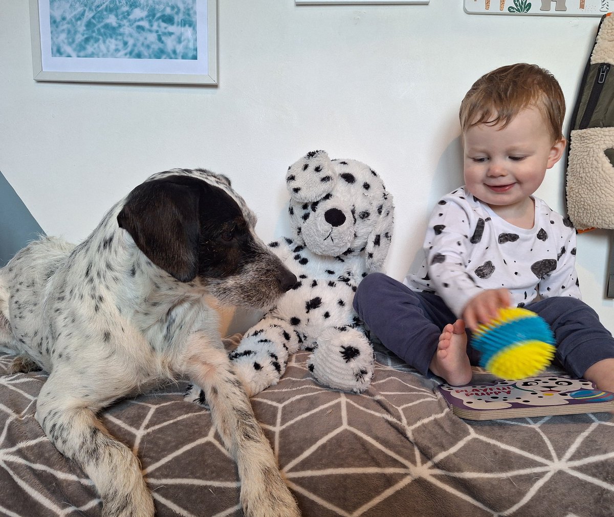 Kaicrtr's tweet photo. Hey @AldiUK remember these two? They're back with a World Book Day special, picked up from your store, Playful Puppy! 🐶⚪️⚫️ https://t.co/DA4fJnMtUH