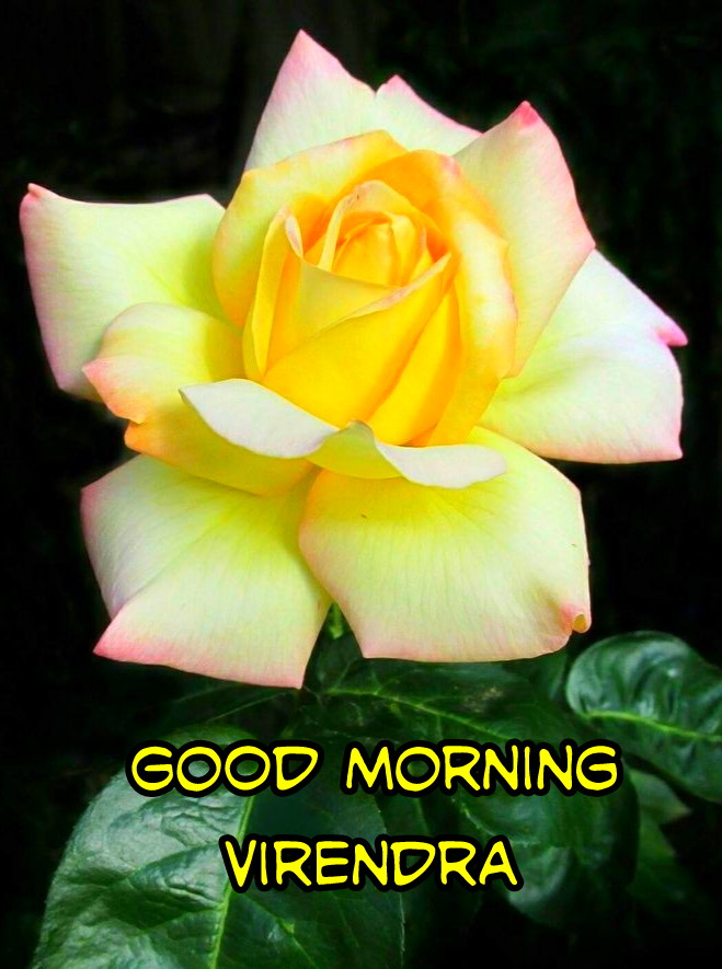 virendra dixit tweet media