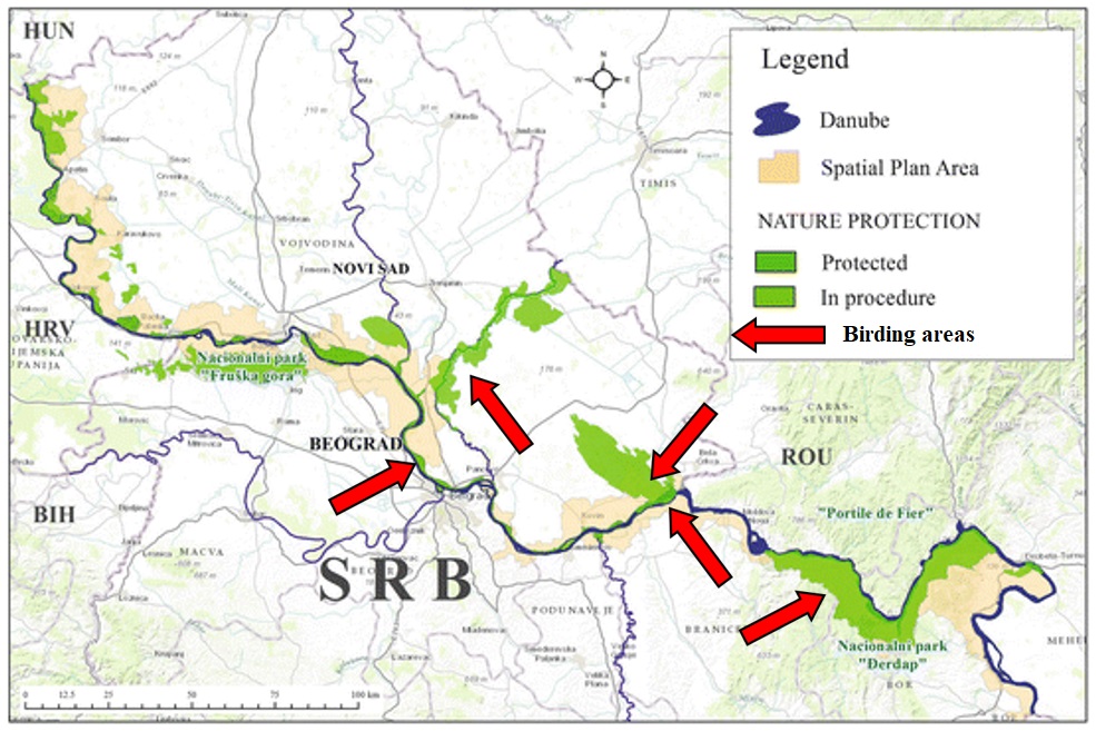 albicilla66's tweet photo. The 400 km day tour interconnecting the very best sites around #Belgrade 🇷🇸 #Serbia, #birding upriver from #Djerdap Gorge National Park to #LabudovoOkno Ramsar, from one spot to another for some 85 km, &when we head back to the city in the late afternoon, there is only 100km left https://t.co/aFLyZ9lPnY