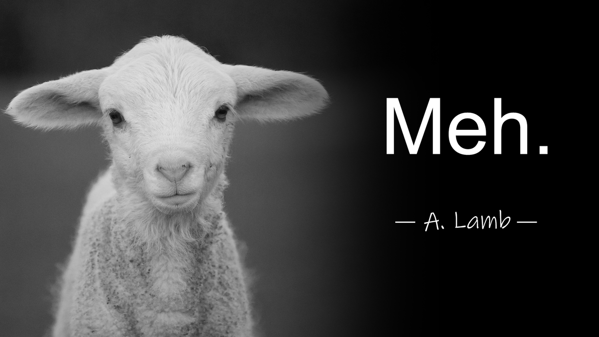 SheepNewsTV's tweet image. 