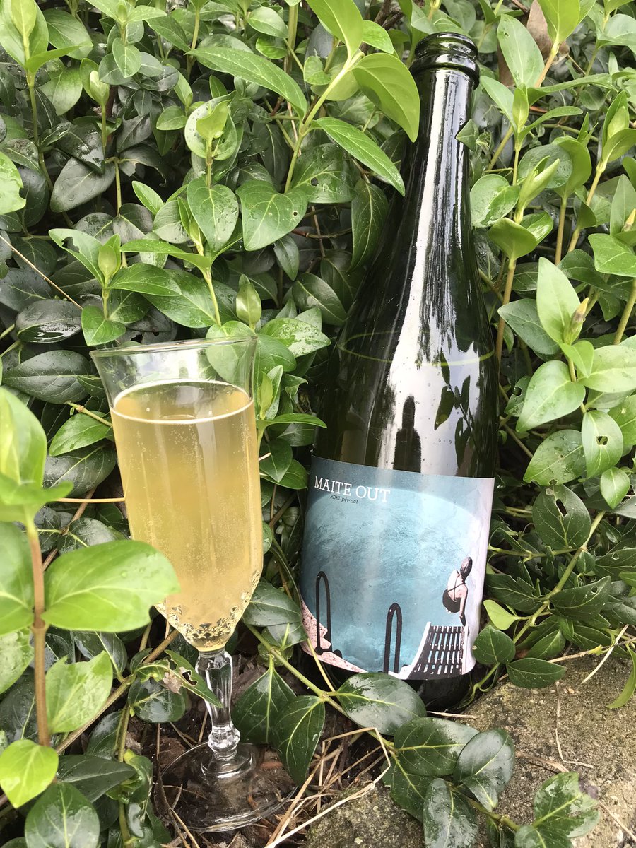 .
MAITE OUT
- Sagarra eta te biolojikoa -

Etxeko scoby-a (symbiotic culture of bacteria and yeast) erabiliz Aralarko urarekin eginiko Sencha te infusioa hartzitzen dugu eta ondoren gure sailean bildutako sagarrekin egindako zukua gehitzen diogu.
(1/X)