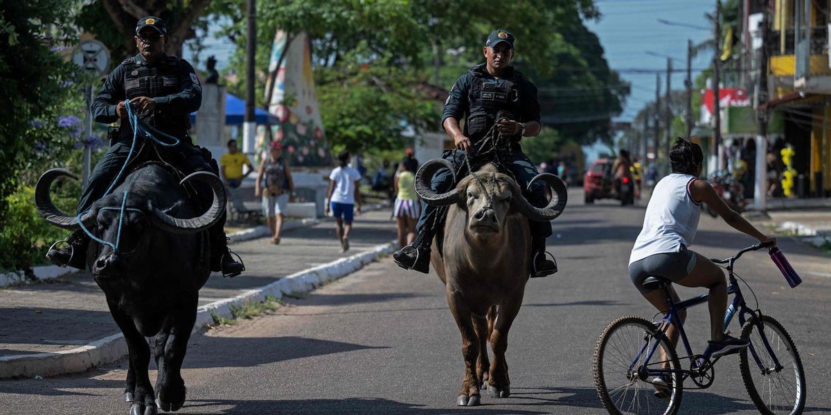 MGreer_PR's tweet image. 🇬🇧 British police cars have sirens. 🚓 
🇧🇷 Brazil's have horns! 🐃
#CulturalDifferences 

Full story here: buff.ly/3v2GNWZ