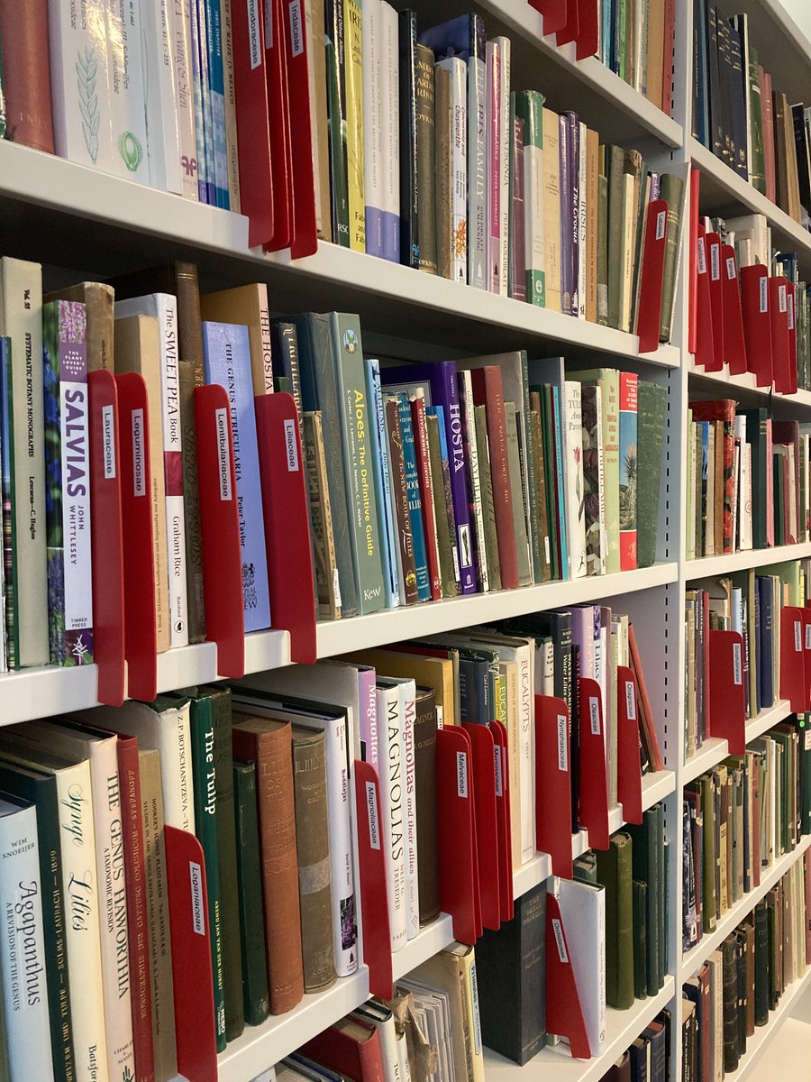 CUBotanicGarden's tweet image. It’s #WorldBookDay! Did you know books are also part of our collection here?!
📗CUBG’s Cory Library is home to around 7,000 books &amp;amp; over 50 periodical titles both historic &amp;amp; current. Whilst it&apos;s accessible by appointment only, we do have other libraries to celebrate today! (1/3)