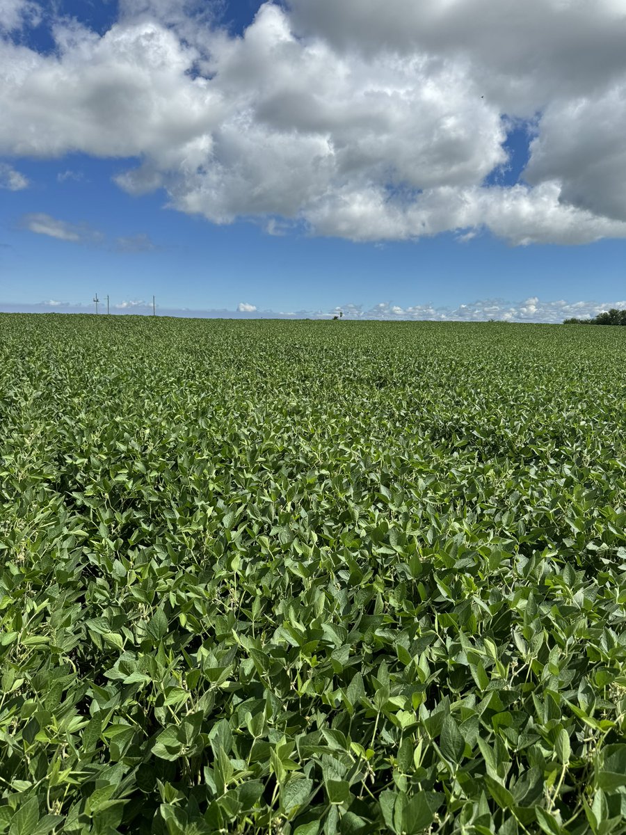 Nuevas 🛠️ para nuevos problemas.