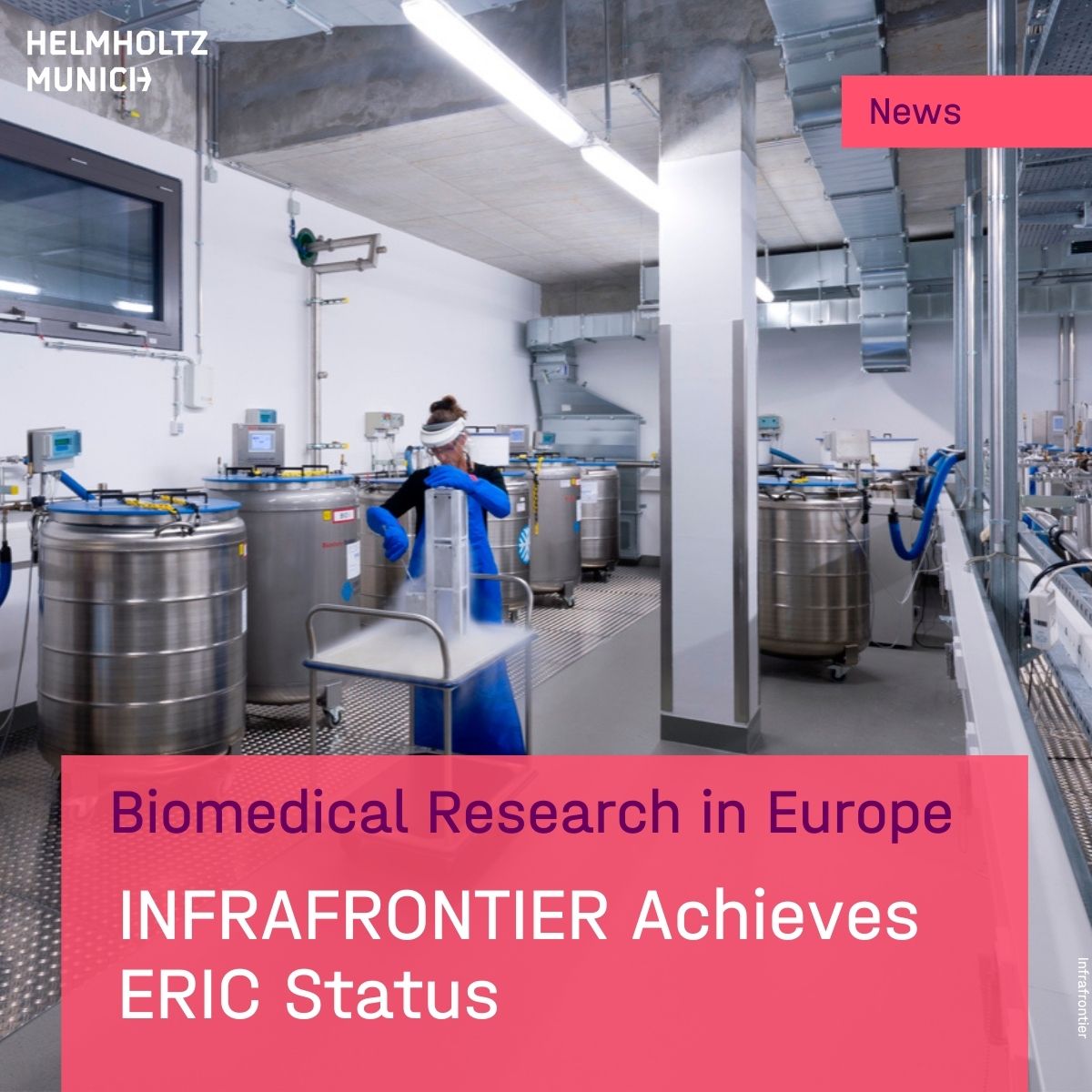 HelmholtzMunich's tweet photo. #INFRAFRONTIER declared as #ERIC
The consortium, headquartered at #HelmholtzMunich, facilitates access to cutting-edge services to study #gene function in e.g. #Cancer.
As ERIC, it can operate as a legal entity under European law.
👉https://t.co/Nl02UFRcfj
#health #research https://t.co/wIiYToA3em