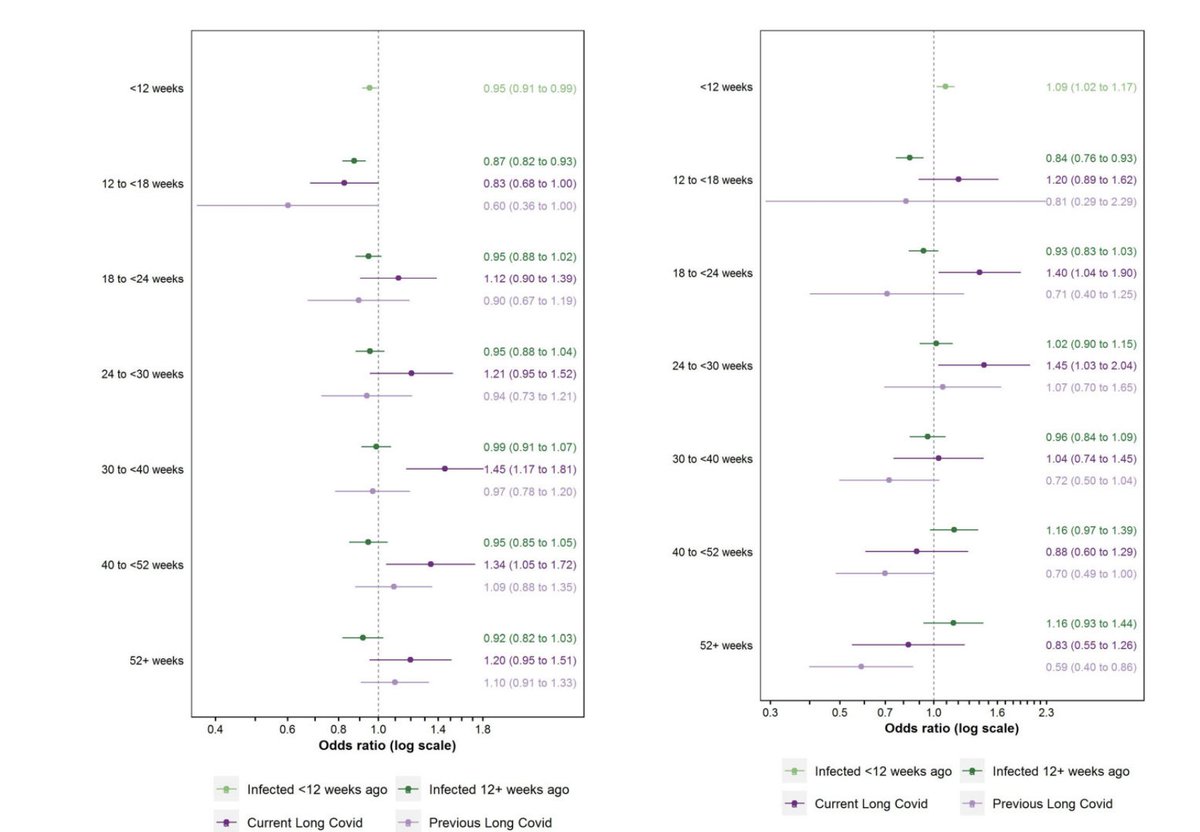Prof Kamlesh Khunti (@kamleshkhunti) on Twitter photo Has #LongCovid contributed to long term absence from the labour market?
Our paper showing an estimated 27 000 working-age adults in the UK were inactive because of #LongCovid in July 2022.
Study led by <a href="/DanAyoubkhani/">Daniel Ayoubkhani</a> <a href="/Vnafilyan/">Vahé Nafilyan</a> <a href="/ONS/">Office for National Statistics (ONS)</a>
academic.oup.com/eurpub/advance… Has #LongCovid contributed to long term absence from the labour market?
Our paper showing an estimated 27 000 working-age adults in the UK were inactive because of #LongCovid in July 2022.
Study led by <a href="/DanAyoubkhani/">Daniel Ayoubkhani</a> <a href="/Vnafilyan/">Vahé Nafilyan</a> <a href="/ONS/">Office for National Statistics (ONS)</a>
academic.oup.com/eurpub/advance…