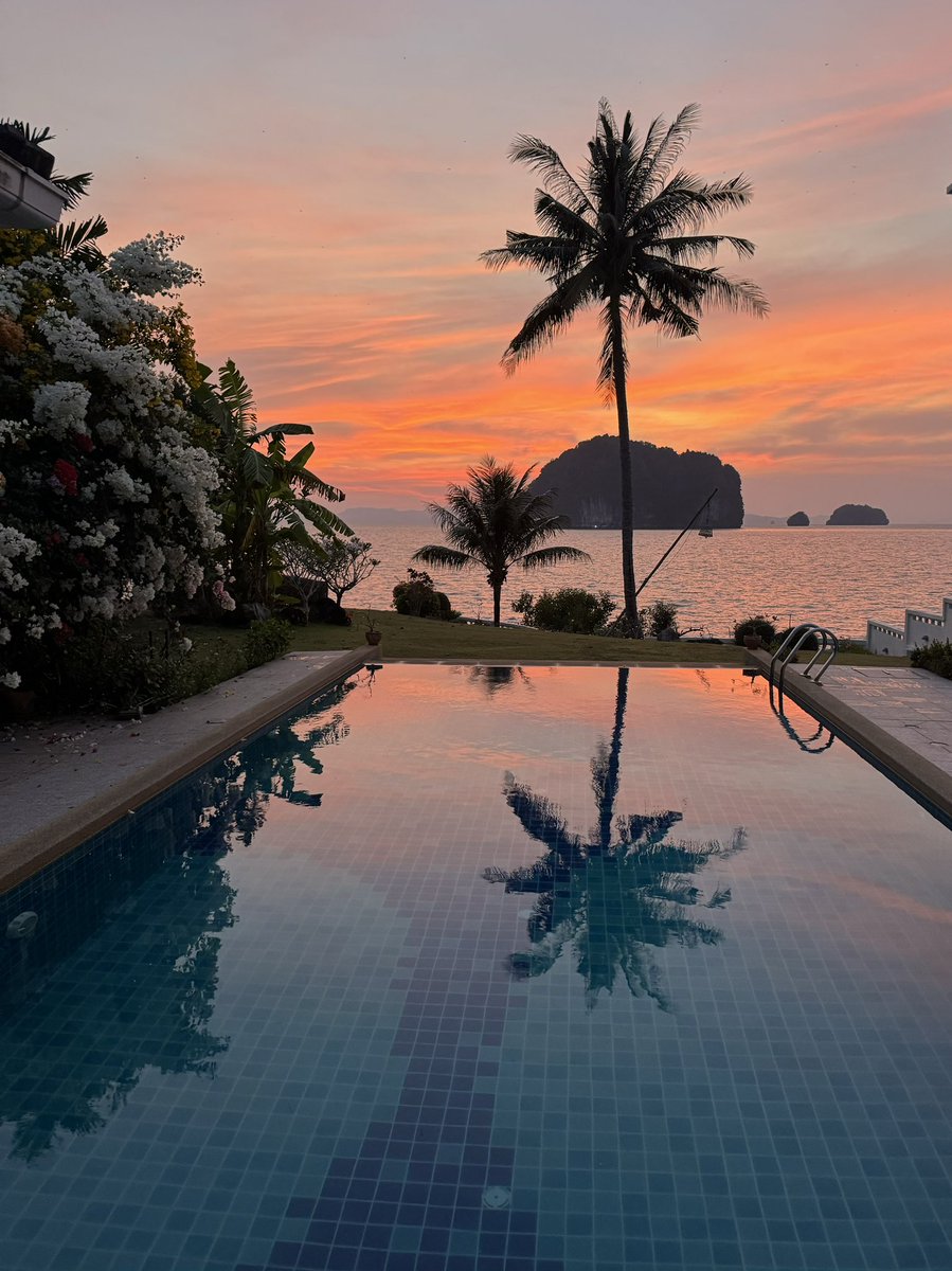 Paul Bray tweet media