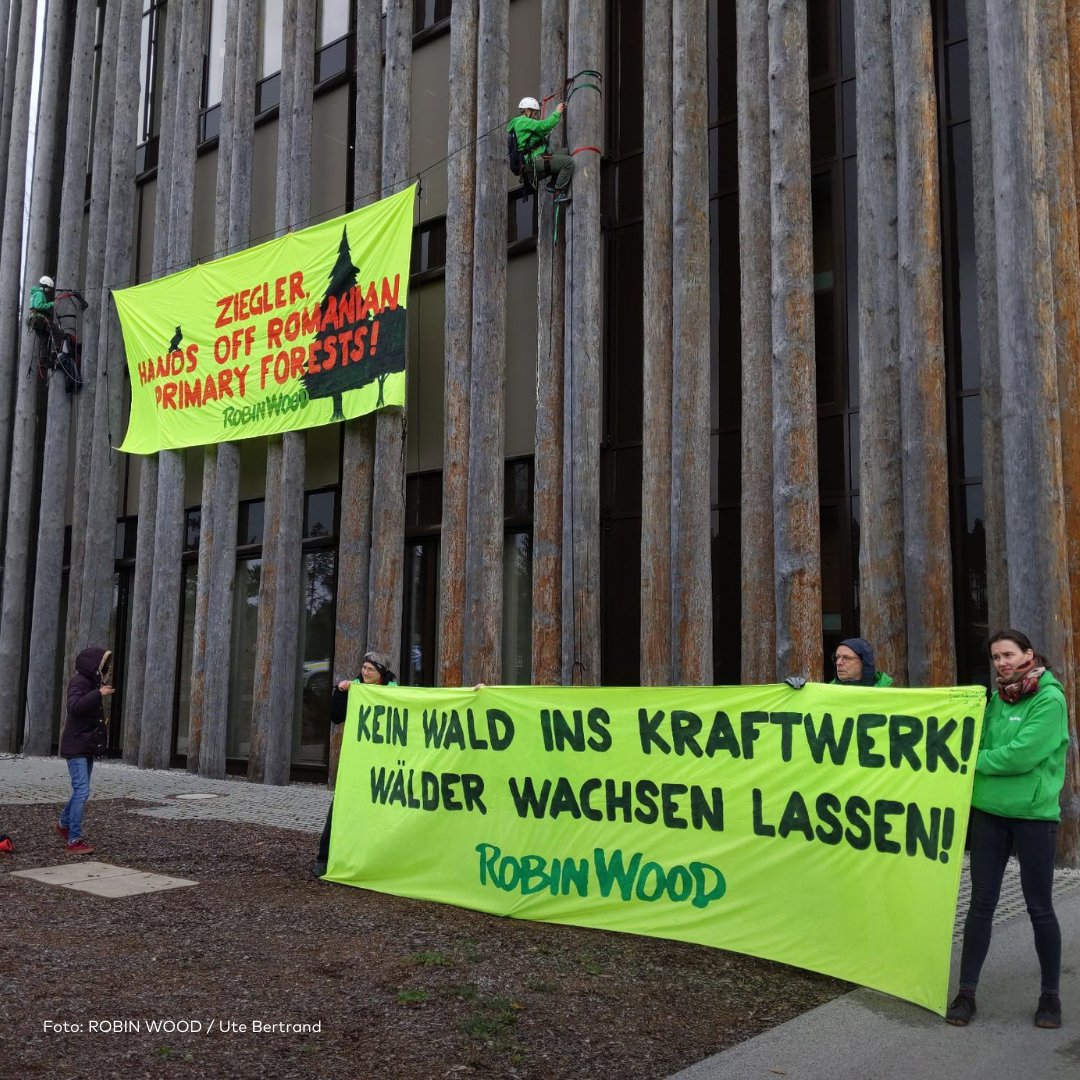 This morning, activists demonstrated at the #Ziegler Group in Bavaria, Southern Germany, because of their expansion into Romania. It is jeopardising the last primeval forests of Europe. We need them for our survival! robinwood.de/pressemitteilu… #forest #Romania #Natura2000 #bioenergy