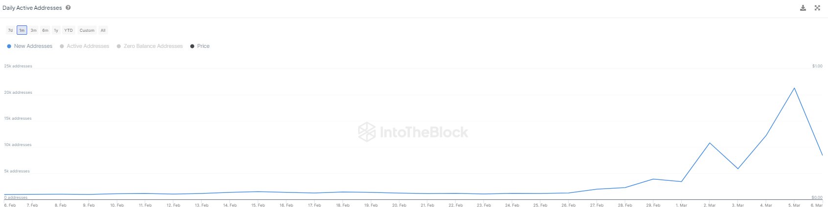  shiba inu addresses new data month surge 