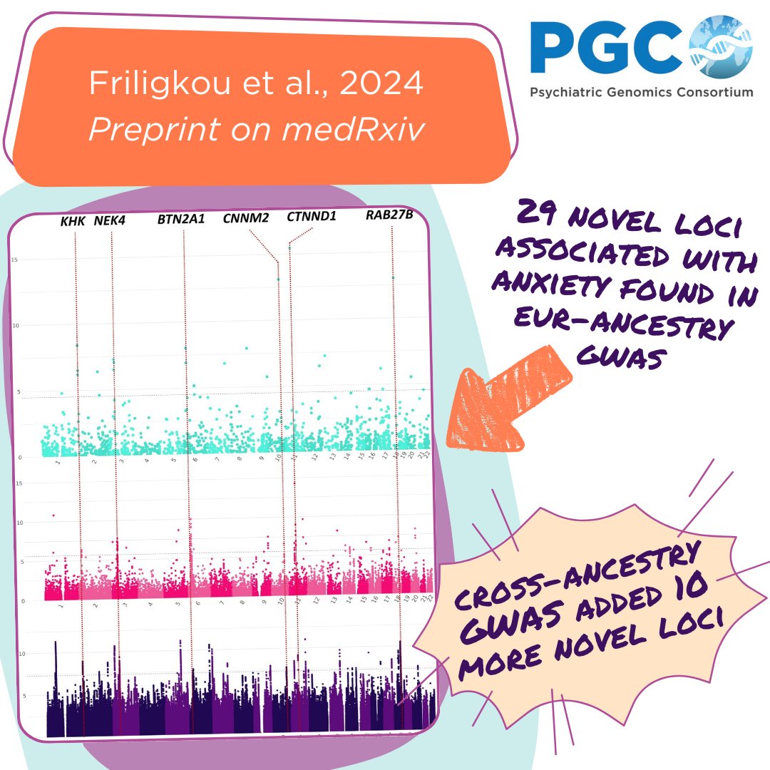 (2/6)🧬Cross-ancestry analysis added 10 new loci, totalling 39 novel loci associated with #anxiety &amp; stress-related disorders. Studying ancestrally diverse populations improves anxiety genetic discoveries  medrxiv.org/content/10.110…
