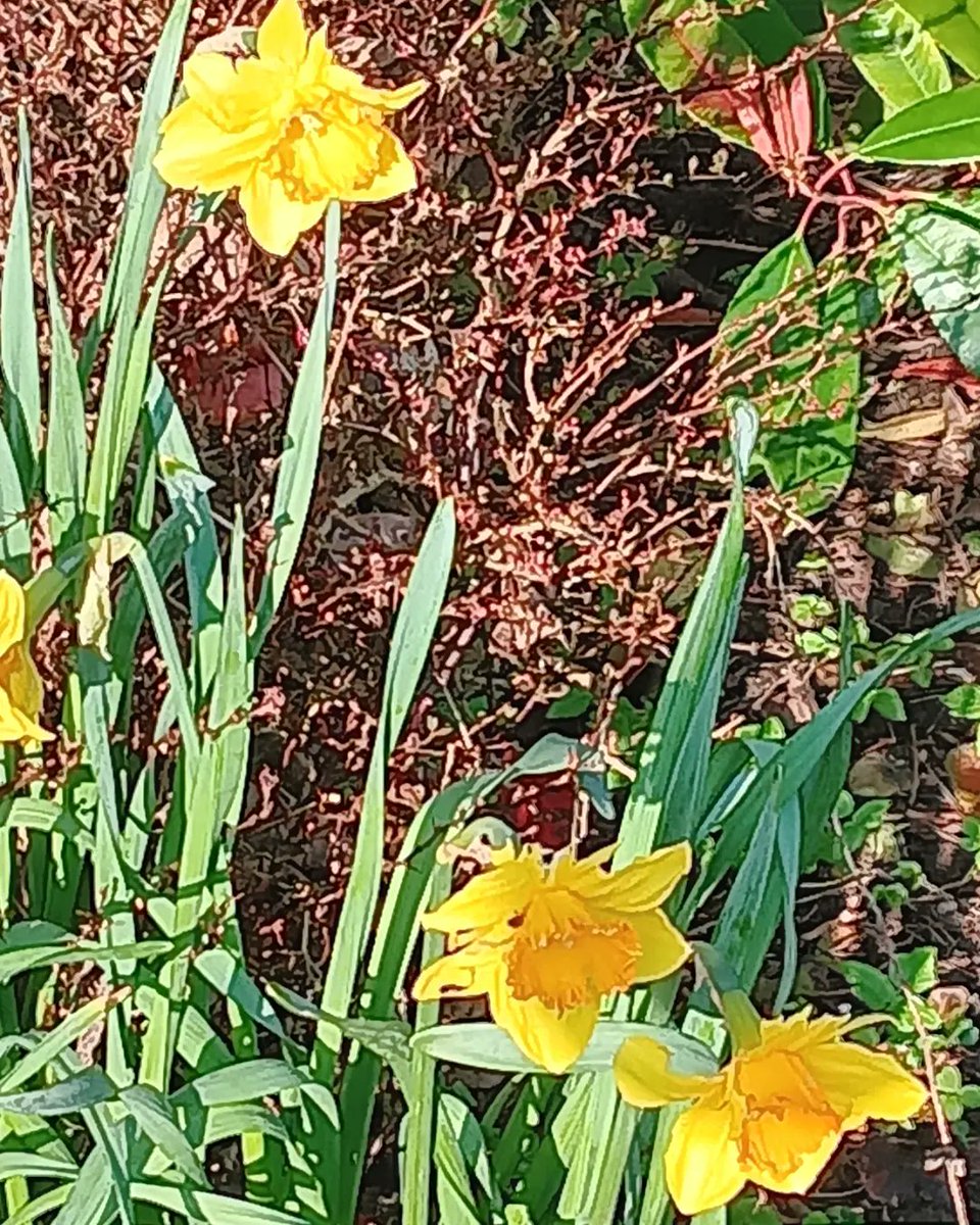 BobbyTh00306754's tweet photo. Pictures taken on my morning walk today. #photograghy #rottenrow #southport. https://t.co/Gr44eIzitP