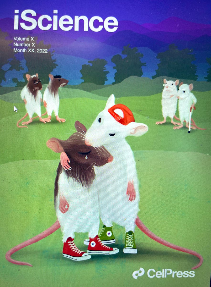 Inbal Ben-Ami Bartal (@inbal_b) on Twitter photo As most rodent labs work with mice, studying rats can feel pretty lonely sometimes..
Are you a #rat researcher? Reply and tell us what you’re working on!
cover art by <a href="/mulesome/">julia kuhl at somedonkey.bsky.social</a> for our 2022 paper on #prosocial behavior in adolescent rats was not chosen, but my personal favorite As most rodent labs work with mice, studying rats can feel pretty lonely sometimes..
Are you a #rat researcher? Reply and tell us what you’re working on!
cover art by <a href="/mulesome/">julia kuhl at somedonkey.bsky.social</a> for our 2022 paper on #prosocial behavior in adolescent rats was not chosen, but my personal favorite