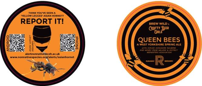 Today marks the launch of a honey beer which raises awareness about Asian Hornet. The 'Queen Bees' beer, is produced by the Runaway Brewery. It is made with honey from Halifax BKA The bottle label, and accompanying beer mats have QR codes on them for the Asian Hornet Watch App