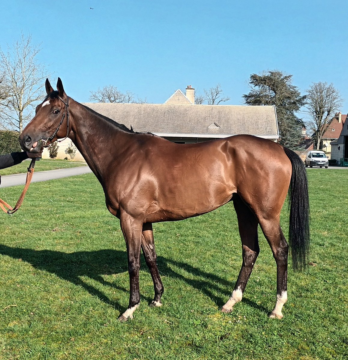 Philippe Decouz (@pdecouz) on Twitter photo Hooking #Champions au soleil après son canter matinal !
Prochain objectif le 29 mars AW Championships Mile Hp at <a href="/NewcastleRaces/">Newcastle Racecourse</a> Hooking #Champions au soleil après son canter matinal !
Prochain objectif le 29 mars AW Championships Mile Hp at <a href="/NewcastleRaces/">Newcastle Racecourse</a>