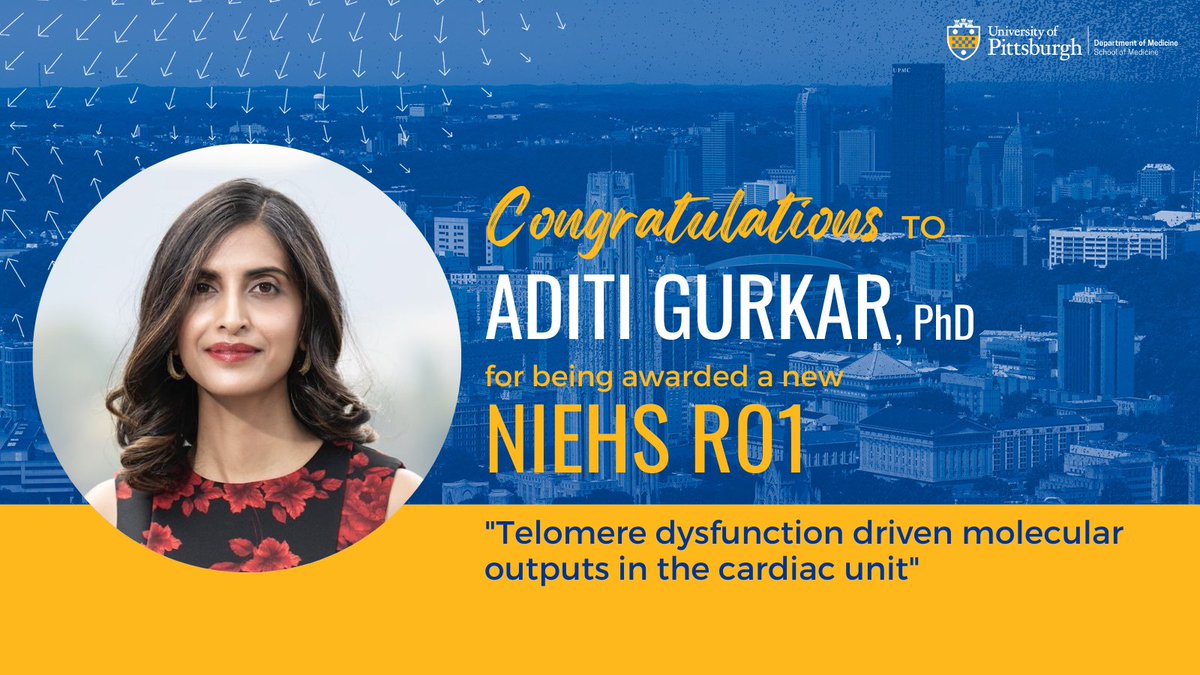 PittDeptofMed tweet media