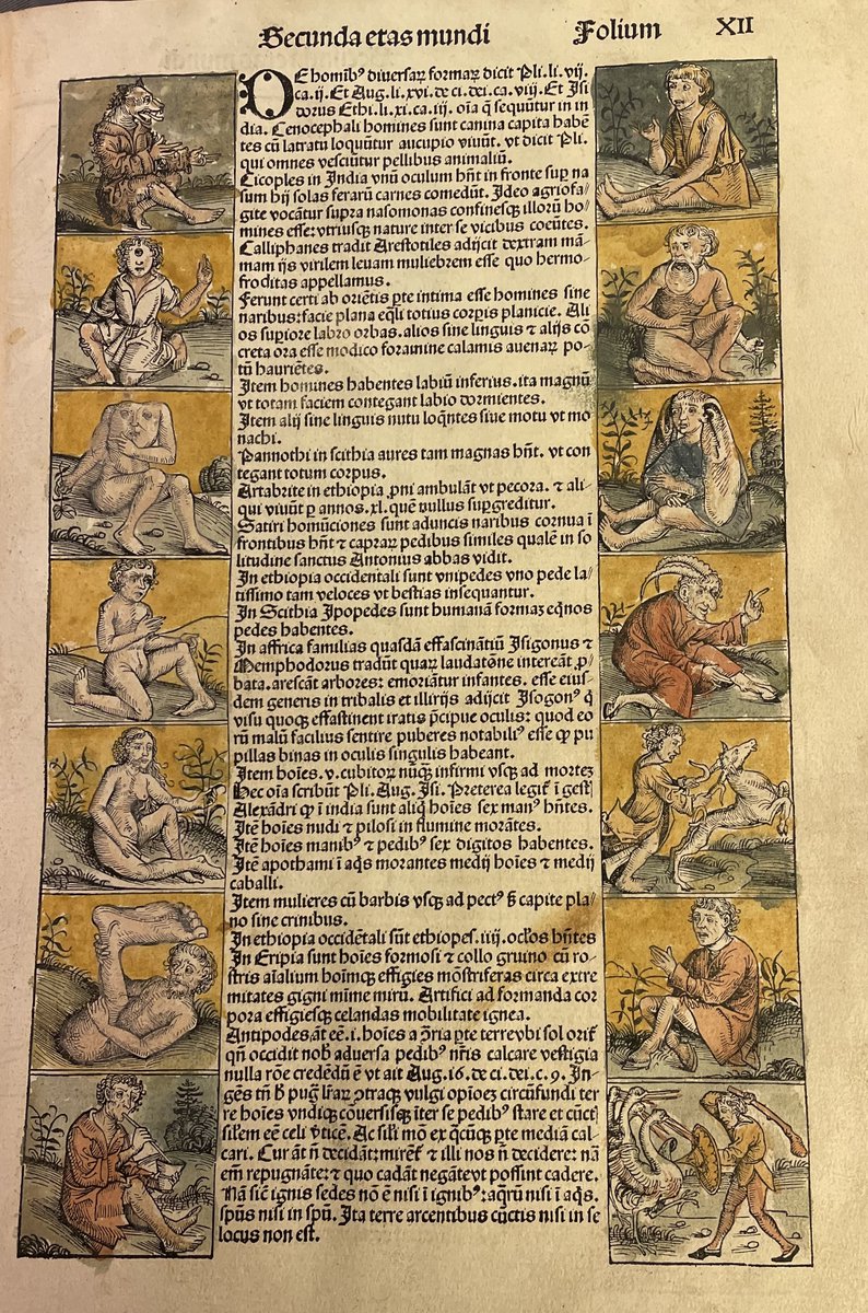 On World Book Day a page from our 1493 Nuremberg Chronicle. This marvellous book tells the history of the world from time's beginning to the late 1400s, one of the earliest to integrate pictures with text, with over 1000 illustrations including terrifying & wonderful creatures!
