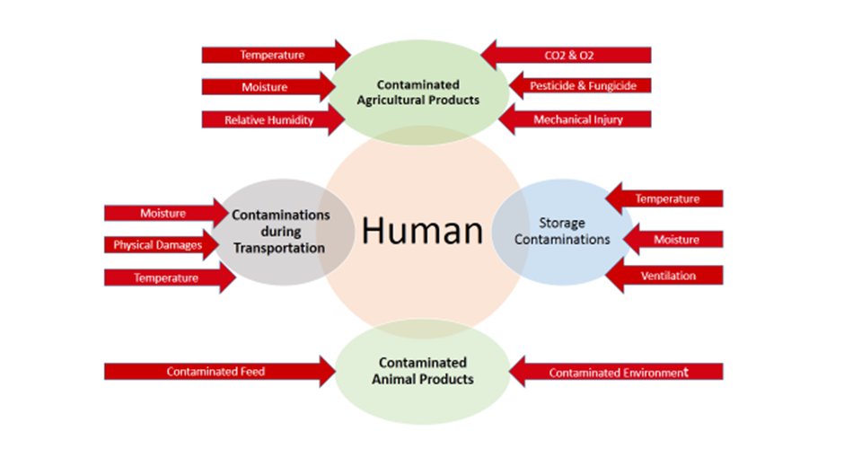 JFoodChem's tweet photo. Mycotoxins’ Contamination in Food and Feeds: A Review

By: Afsaneh Morshedi, Ahmad Shakerardekani, Reza Karazhian, Mohammad Morshedi, Marcos Eduardo Valdes, Toktam Mohammadi-Moghaddam and Mohaddeseh Kariminejad

Visit: https://t.co/yQFP4s87nt
#foodsafety #mycotoxins #research https://t.co/w6JhKFpGrL